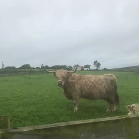 Mccormacsfarmhouse Mullanalaghta